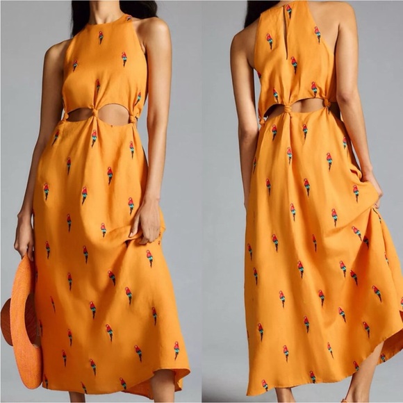 FARM Rio Dresses & Skirts - RARE Anthropologie Farm Rio Parrot Halter Maxi Dress